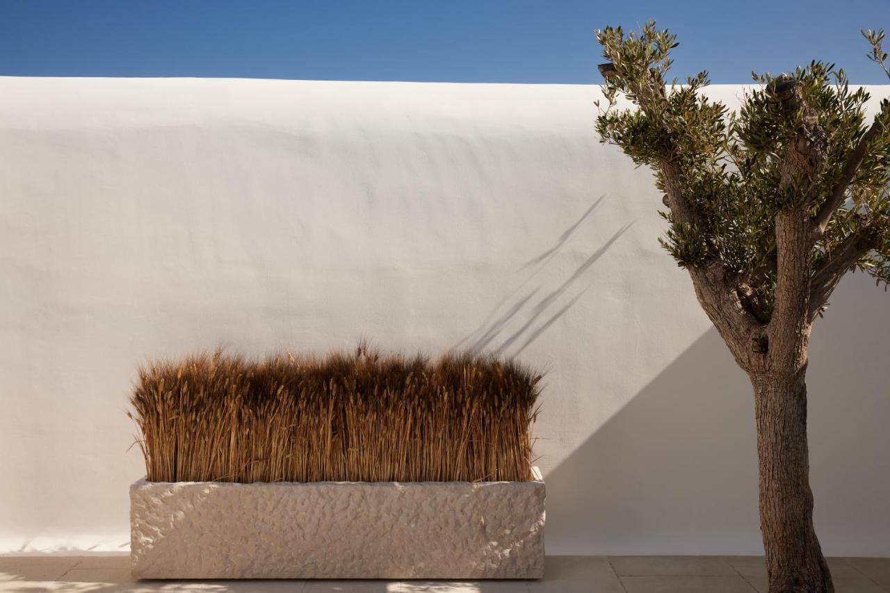 Kalesma Mykonos Hotell Ornos  Exteriör bild